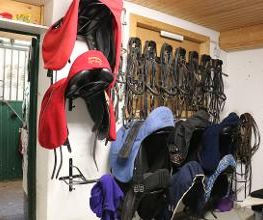 Reitschule Lautlos Bild 14