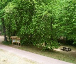 FriedWald Rümmingen Bild 10
