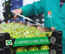 productos2-carmelo-beltran.jpg