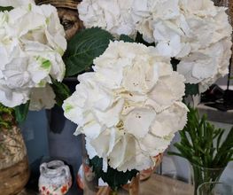 Test Fleurs image 16