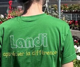 Landi Bild 5