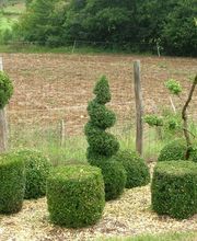 Dalbavie Franck image 5