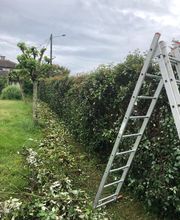 Philipot Sony image 5