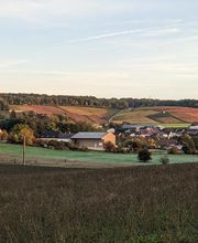 Champagne Moutaux EARL image 3