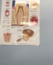 Downtown Dental CT - Bridgeport image 5