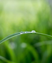 Burkhard Grünhagen, Heilpraktiker für Psychotherapie Bild 1