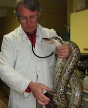 Pascal Gonin image 6