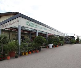 M. Grieb AG Bild 11