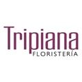 LOGOLISTA.jpg