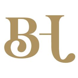 Birgit Hayn Finanzen logo