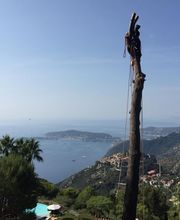 Alp'azur Elagage image 2