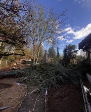 ENZO NATURE&TRAVAUX image 1