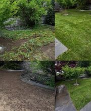 GrünFix-Gartenservice Bild 2