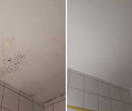 Schimmel Experten - Sirnach Bild 8