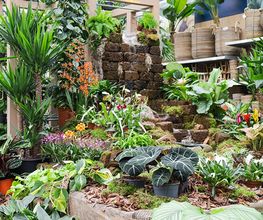 Garten-Center Spiering GmbH Wesel Bild 79