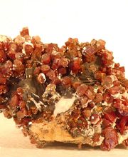 Roig Raymond image 10