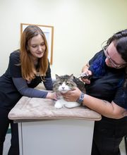 Animal Care Hospital of Morris Inc image 13