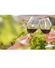 Magasin Cave Le Vallon - Les Vignerons du Rougier image 1