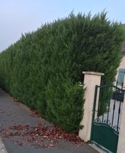 LG Espaces Verts image 3