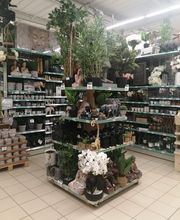 Centrakor Artigues image 8