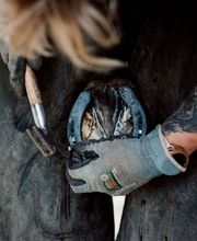 Champeaux Élodie marechal ferrant 27 eure image 1