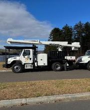 Owen's Tree Expert image 8