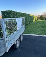 Arbor Saintonge image 2