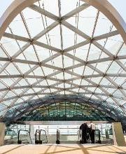 365 Limo Denver image 9