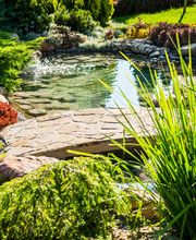 TGR Teichbau GaLaBau Reiche Bild 2