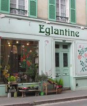 Eglantine image 4