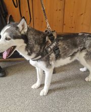 Hundesalon Dany Bild 2