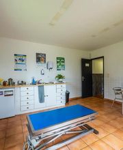 Clinique vétérinaire de Saint-Aquilin-de-Pacy - Sevetys image 7