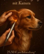 Screenshot 2025-10-23 172718.png