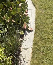 IMG_9434.jpeg