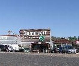 GAMM VERT image 4