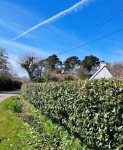 Jlr Elagage Cotes d'Armor image 3