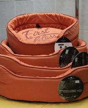 Toilettage 14 image 11