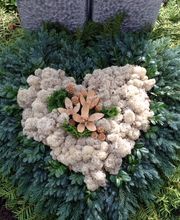 Friedhofgärtnerei Köniz Bild 7