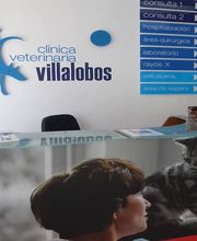 CLINICA VETERINARIA VILLALOBOS imagen 6