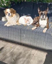 Manusset Sylvie image 7