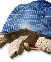 Rossi Dach AG Bild 10