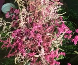 FOTO7FLORISTERIALAAURORA.jpg