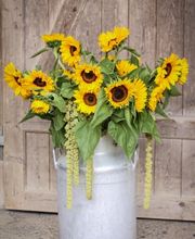 Blumen Ball GmbH Bild 6