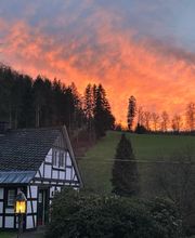Hotel Gut Vorwald Bild 3