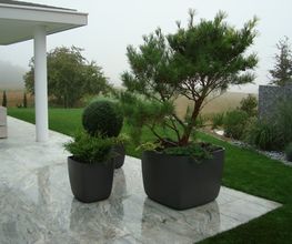 VITA VERDE AG Bild 7