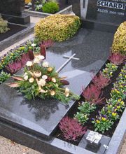 Karin''s Blumenecke Bild 2