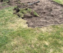 Haus-&Gartenservice Rose Bild 17