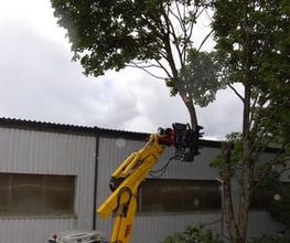 Aeschlimann Umwelttechnik AG Bild 4