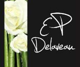 Delaveau Eric-pierre image 3