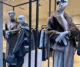 Max Mara immagine 4
